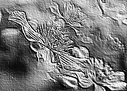 Skamielina