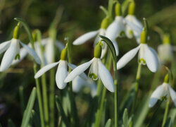 Oryginalny obrazek