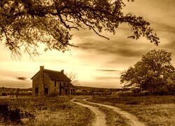 Sepia