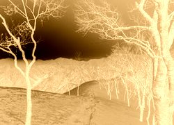 Sepia + Negatyw
