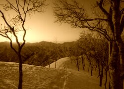Sepia