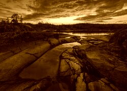 Sepia