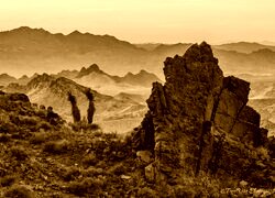 Sepia