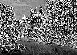 Skamielina