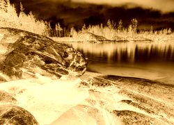Sepia + Negatyw