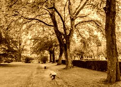 Sepia