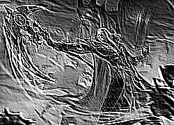 Skamielina