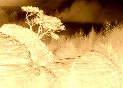 Sepia + Negatyw