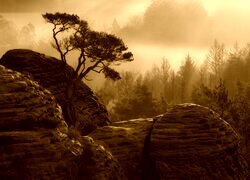 Sepia