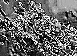 Skamielina