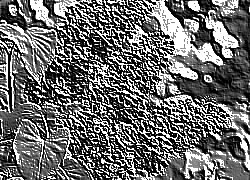 Skamielina