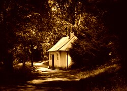 Sepia