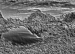 Skamielina