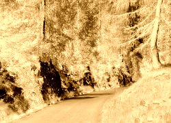 Sepia + Negatyw