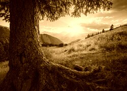 Sepia