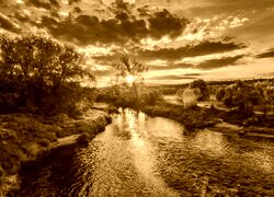 Sepia