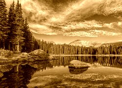 Sepia