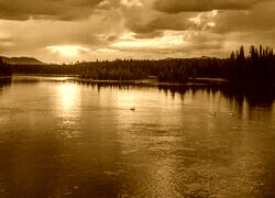 Sepia