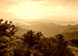 Sepia