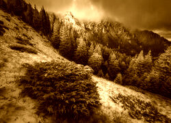 Sepia