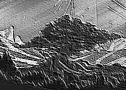 Skamielina