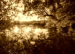 Sepia