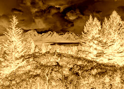 Sepia + Negatyw