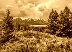 Sepia