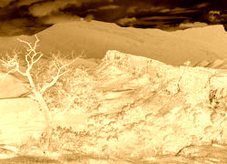 Sepia + Negatyw