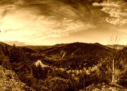 Sepia