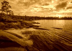 Sepia