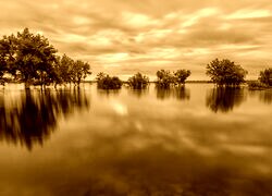 Sepia