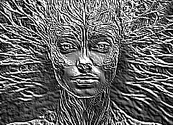 Skamielina
