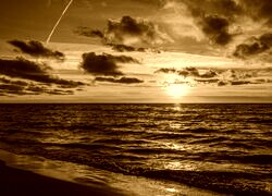Sepia