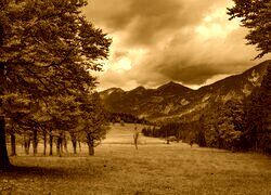 Sepia