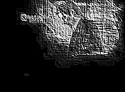 Skamielina