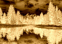 Sepia + Negatyw
