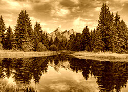 Sepia