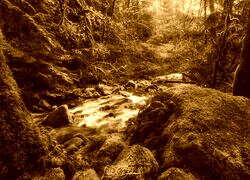 Sepia