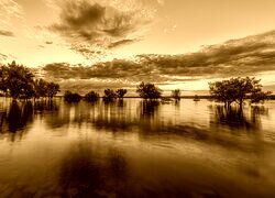 Sepia