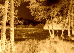 Sepia + Negatyw