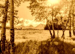Sepia