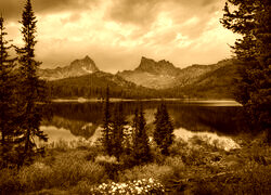Sepia