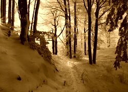 Sepia