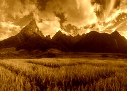 Sepia
