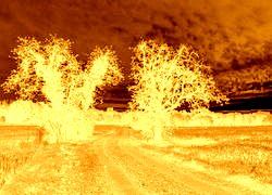 Sepia + Negatyw