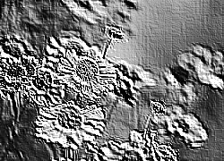 Skamielina