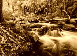 Sepia