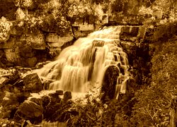 Sepia