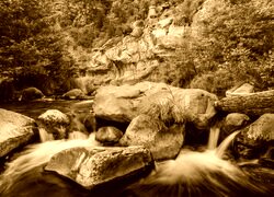 Sepia
